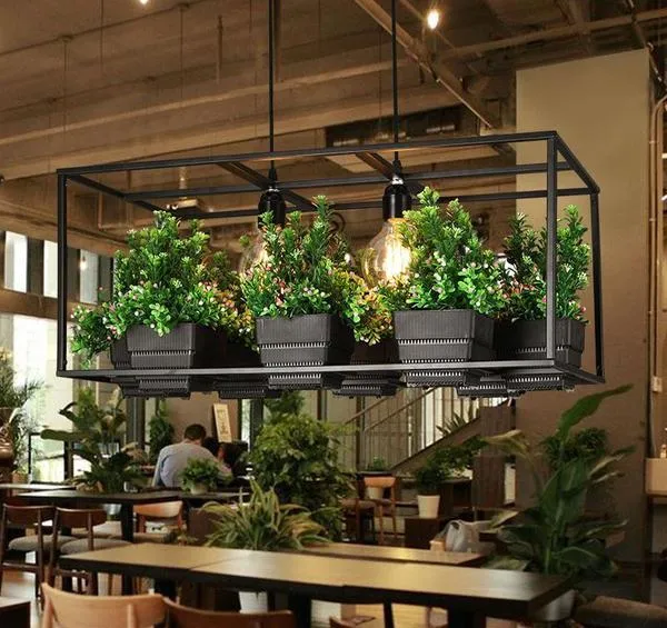 Five Unique Planter Ideas - #MoveWithGreens 4