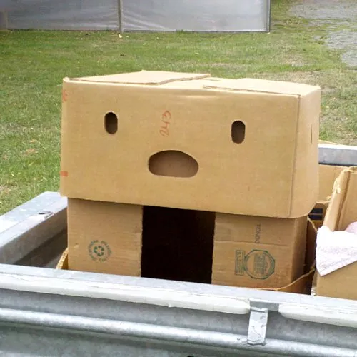 three moving tips you must know - greens moving