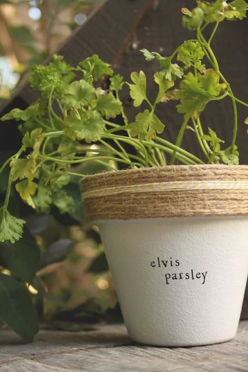 Five Heartfelt Housewarming Gifts - #MoveWithGreens 2