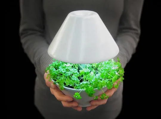 Plant that is also a light - #MoveWithGreens