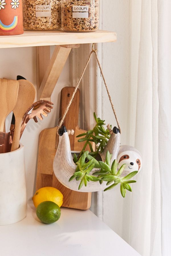 Five Unique Planter Ideas - #MoveWithGreens 2