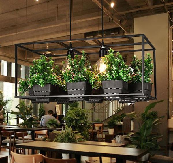 Five Unique Planter Ideas - #MoveWithGreens 4