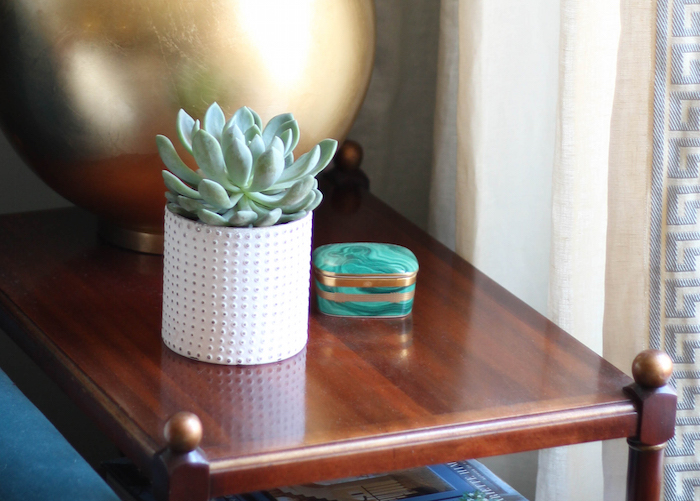 Best Plants if you don’t have green thumb - #MoveWithGreens